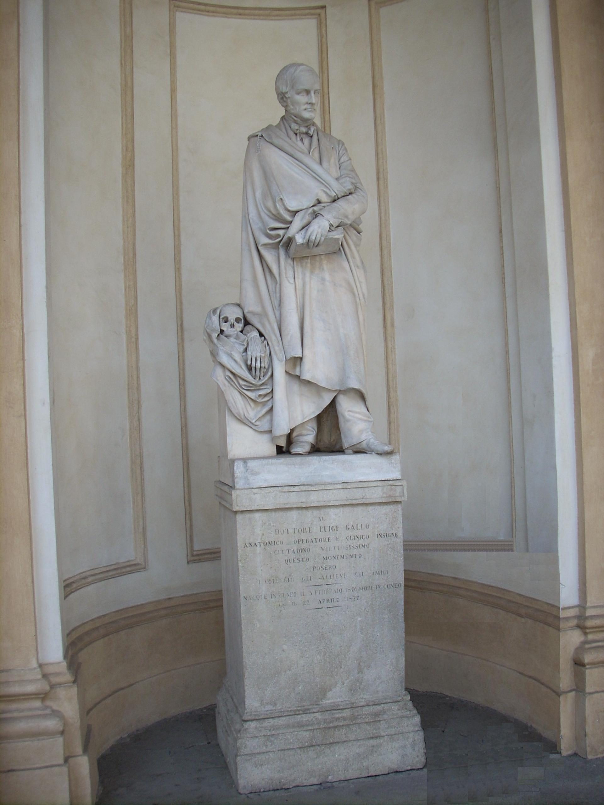 Copia di Luigi Gallo's monument, University of Turin central seat, T~2.JPG